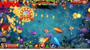 Những Cảm Giác Thú Vị Khi Chơi Bắn Cá Xu