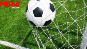 Mẹo Đọc Kèo Rung: Tối Ưu Hóa Cơ Hội