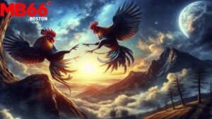 Những Điểm Nổi Bật Của Đá Gà Cựa Sắt