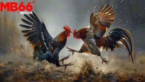 Cá Cược Đá Gà Trực Tuyến